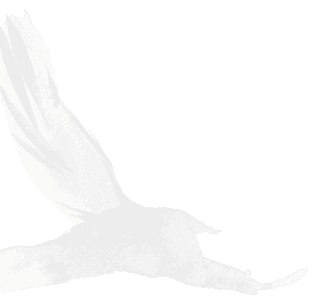 Chartered Bird