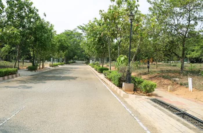 Footpath and road edge at Chartered Windsong