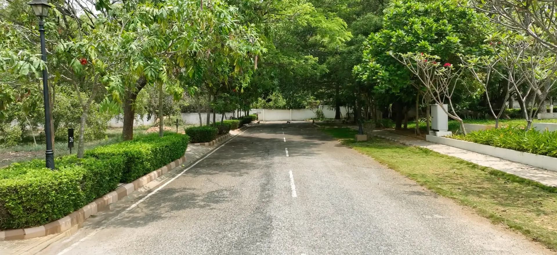 Internal avenue at Chartered Windsong